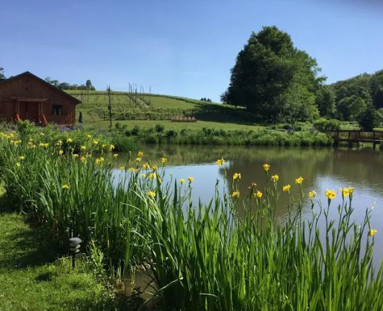 Glampotel at Natural Gardens