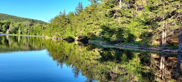 Camp Oh-Neh-Tah🌲 8