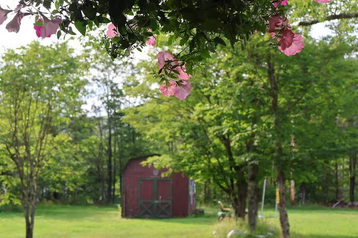 Camp Oh-Neh-Tah🌲 6