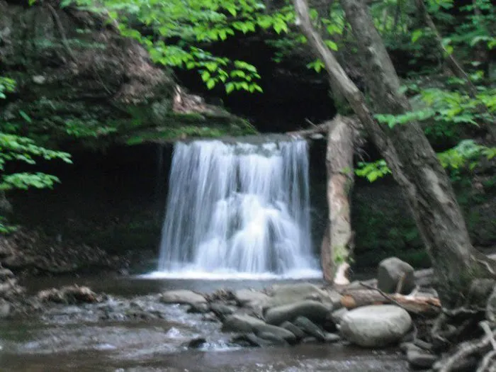 Doherty's Mountain View Campground 0