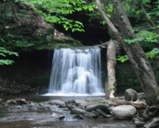 Doherty's Mountain View Campground