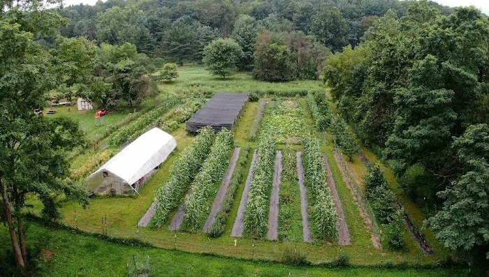 Wild Hudson Valley 9