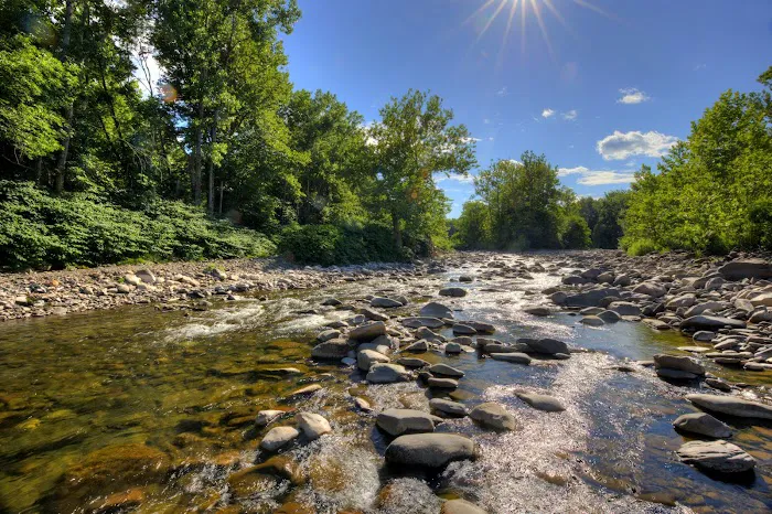 Wild Hudson Valley 5