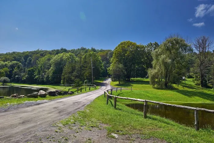 Camp Catskills RV Park 5