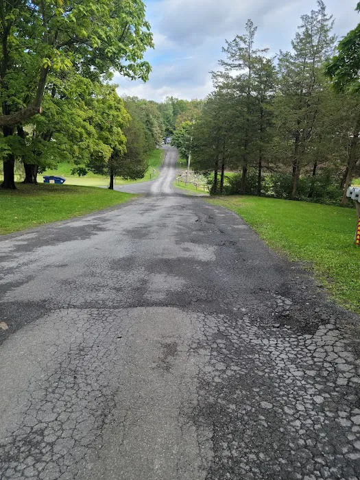 Camp Catskills RV Park 9