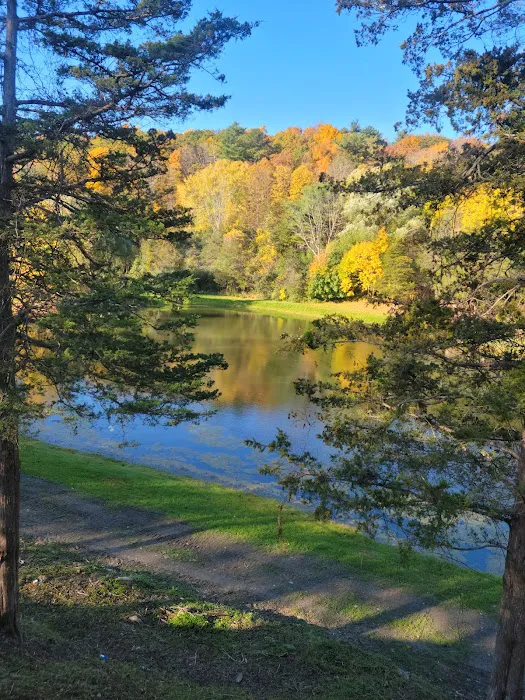 Camp Catskills RV Park 1