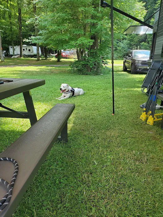 Little Lake Campground 5