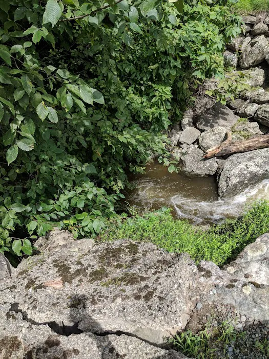 Fox Hill Camping Area 9