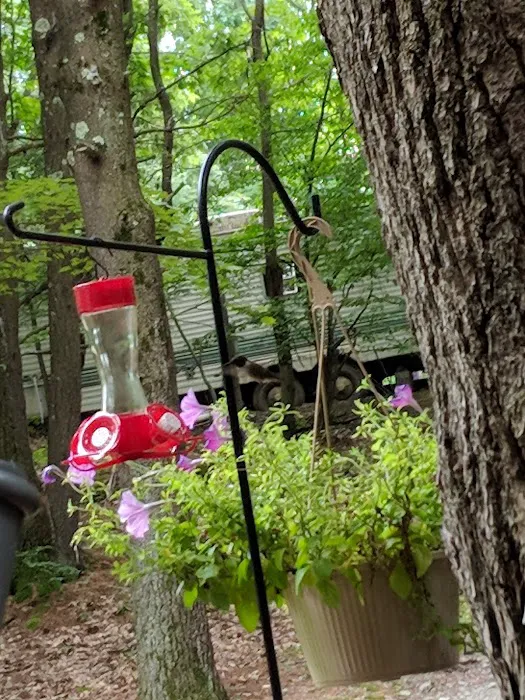 Fox Hill Camping Area 8