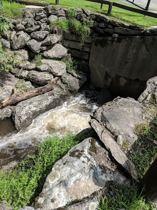 Fox Hill Camping Area 2