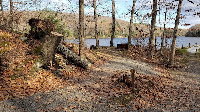 Beartown State Forest Site 11 1