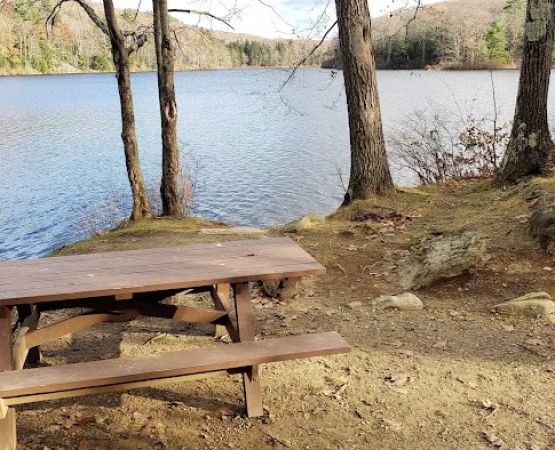 Beartown State Forest Site 11