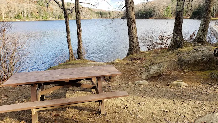 Beartown State Forest Site 10 5