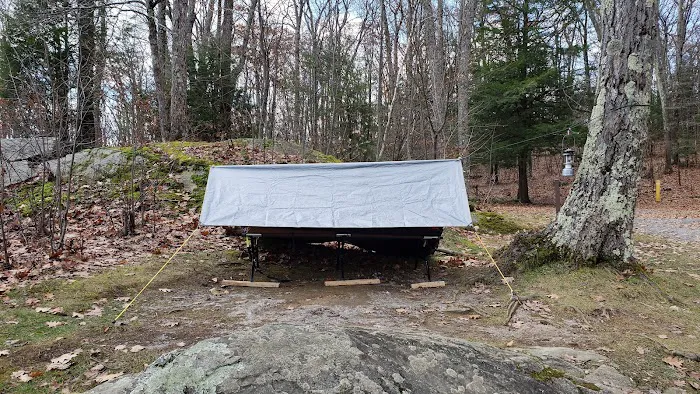 Beartown State Forest Site 10 8