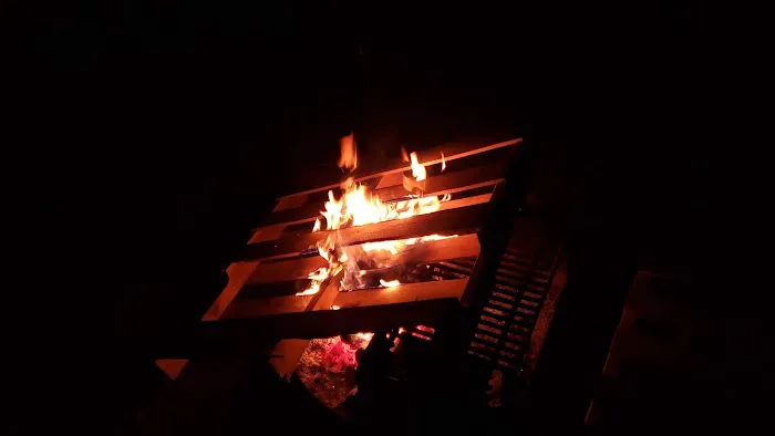 Beartown State Forest Site 10 3