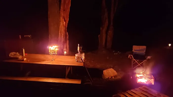 Beartown State Forest Site 10 0