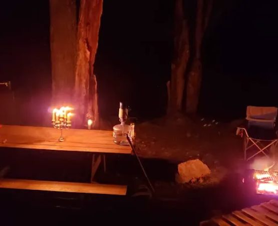 Beartown State Forest Site 10