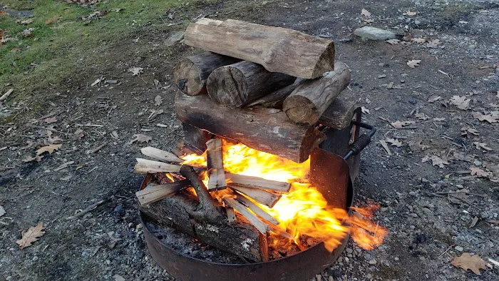 Beartown State Forest Site 10 9