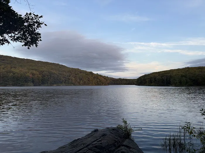 Beartown State Forest Site 10 1