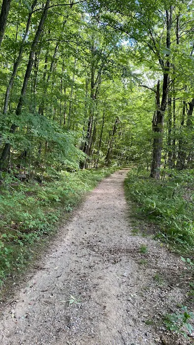 Beartown State Forest Site 10 4