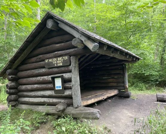 South Mount Wilcox Shelters