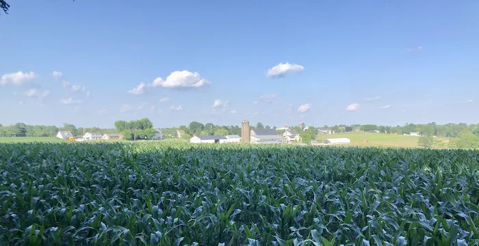 Hobo Hollow Campground 0