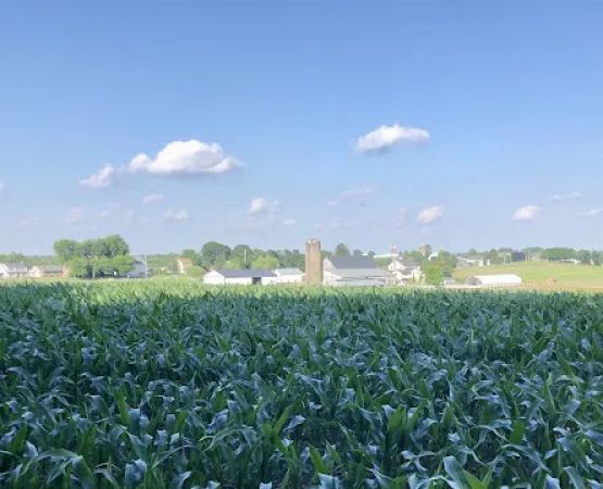 Hobo Hollow Campground