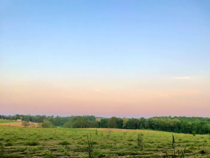 Hobo Hollow Campground 5