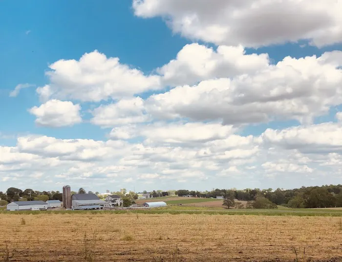 Hobo Hollow Campground 6