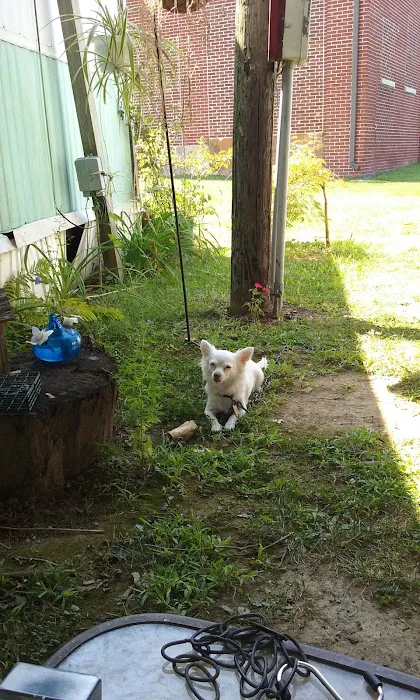 Trailer Village Park 7