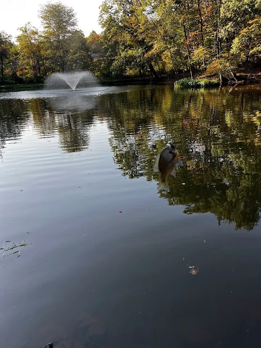 Pinch Pond Family Campground 5