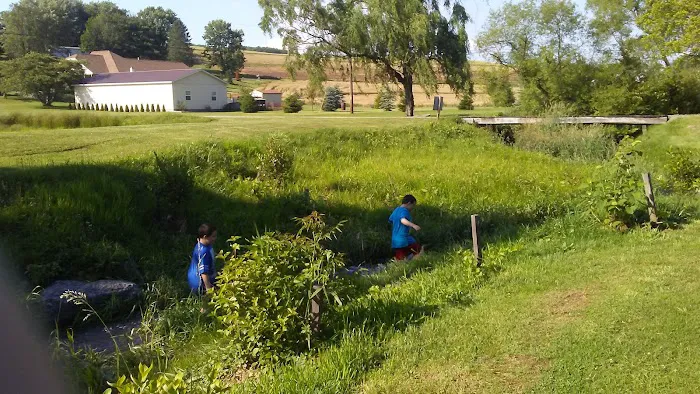 Irish Valley Campground 6