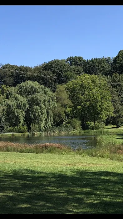 Irish Valley Campground 4