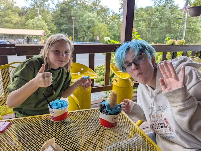 Lickdale Campground 6