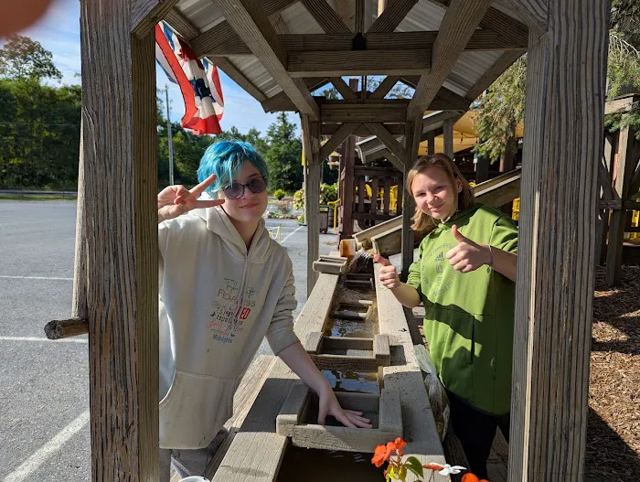 Lickdale Campground 2