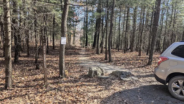 Weiser State Forest (Halderman Tract) Campsite H4 Tract) 0
