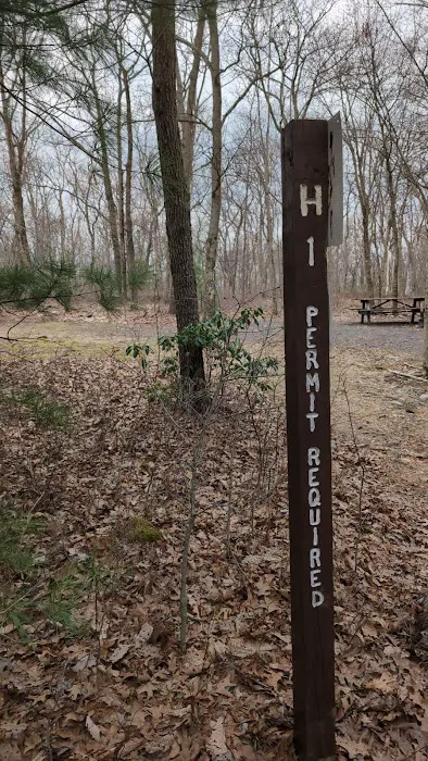 Weiser State Forest (Haldeman Tract) Campsite H1 0