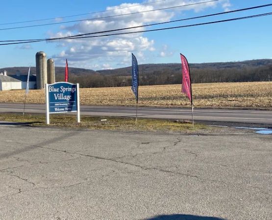 Blue Springs Village