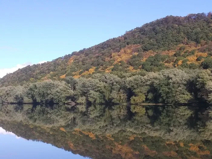 Airport Campground 3