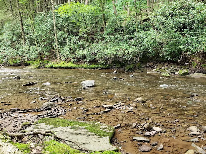 Hemlock Valley Campground 4