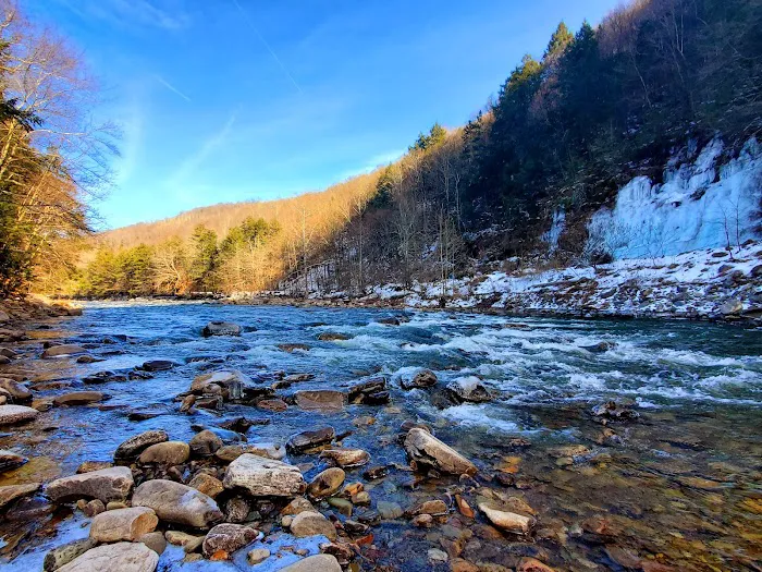 World's End State Park Family Campground 1