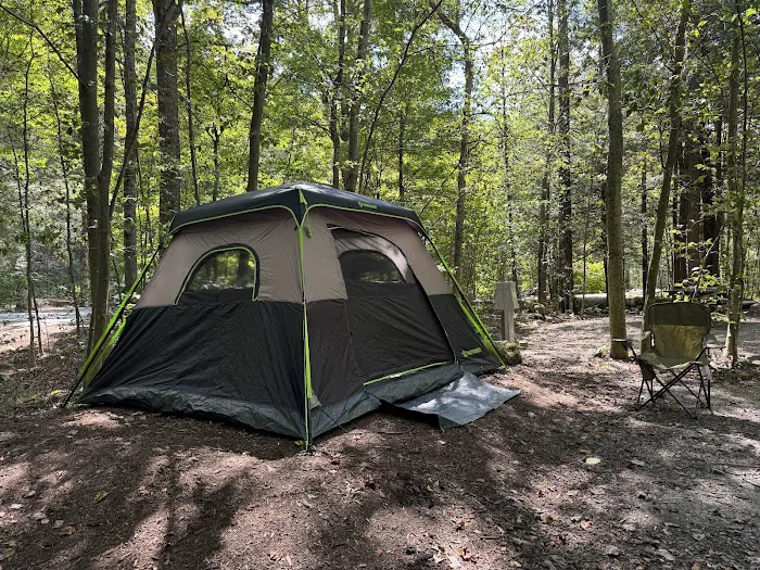 World's End State Park Family Campground 7