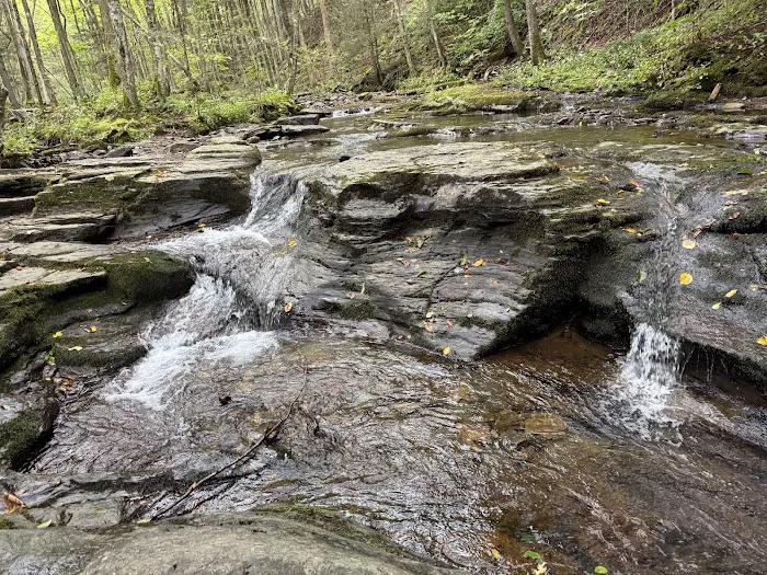 World's End State Park Family Campground 9