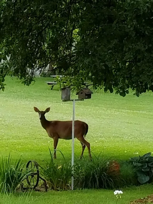 Endless Mountain Campground 9