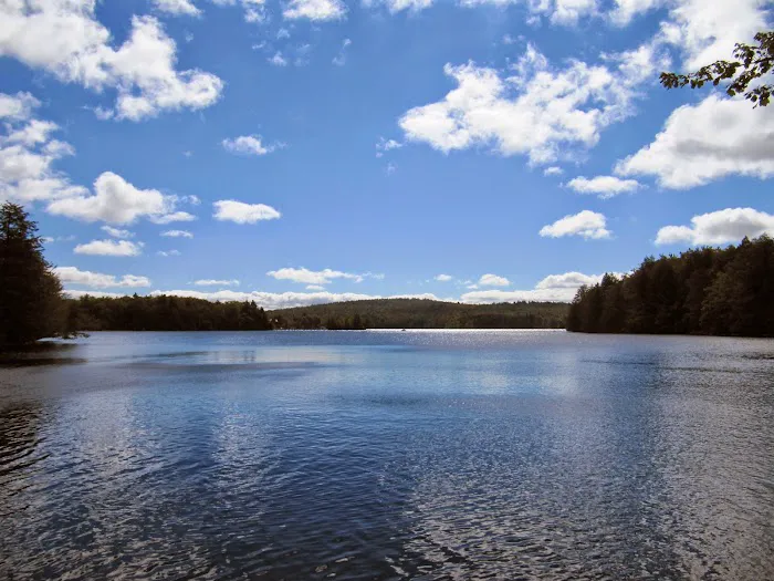 Tolland State Forest Campground 2