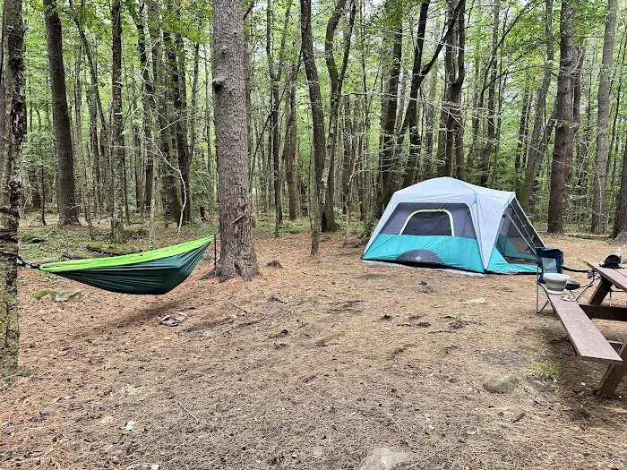 Tolland State Forest Campground 6
