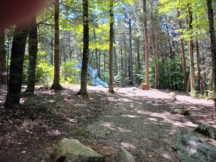 Tolland State Forest Campground 3