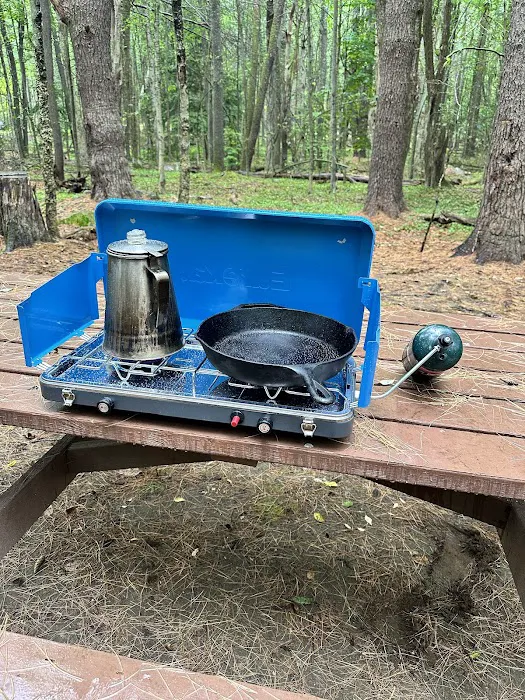 Tolland State Forest Campground 1