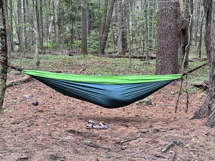 Tolland State Forest Campground 7