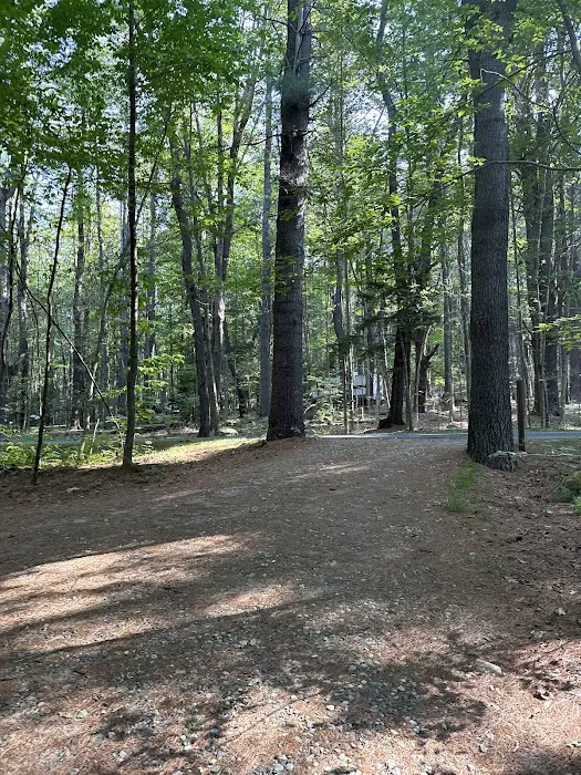 Tolland Campsite #79 1